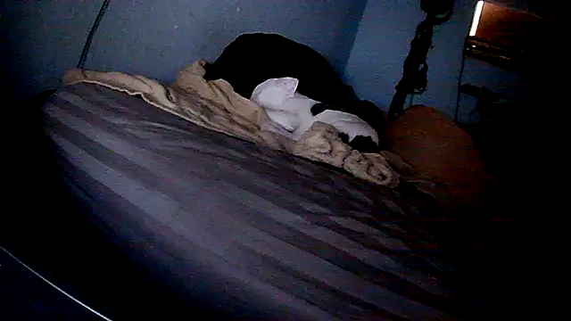 PornStro921 online show from February 11, 2026, 8:20 pm