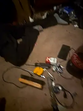 SillyRabbitz online show from November 25, 2025, 7:08 am