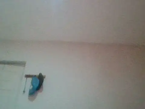 bafeng online show from July 24, 2026, 9:38 am