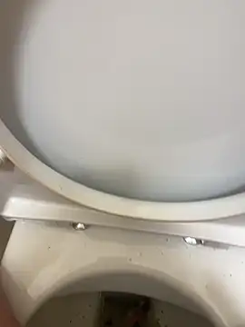 Snapshot of Alexander18edd chatting on September 24, 2025, 8:54 am Alexander18edd online show from September 24, 2025, 8:54 am