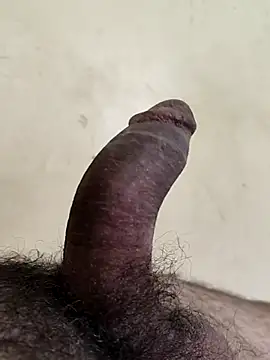 Snapshot of alkhabiir chatting on February 27, 2026, 4:29 pm alkhabiir online show from February 27, 2026, 4:29 pm