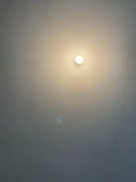 1Zoey101 online show from February 15, 2026, 8:57 am