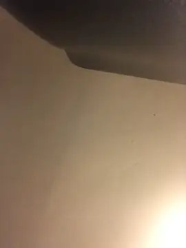 Donnydon79 online show from March 4, 2025, 11:32 pm