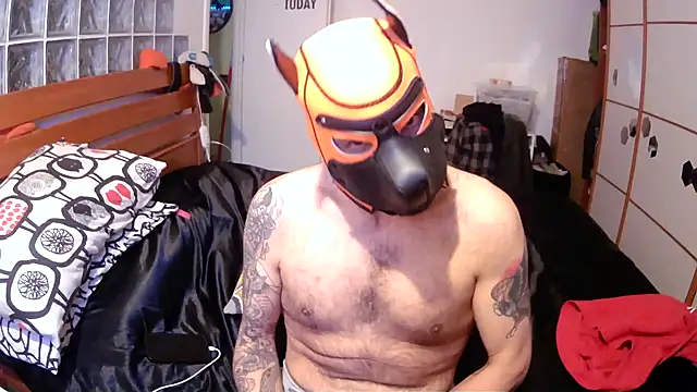 danix wild wolf online show from December 17, 2025, 1:27 pm