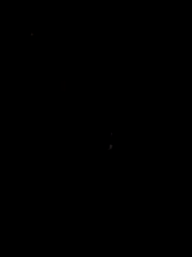 papicook online show from May 6, 2026, 4:38 am
