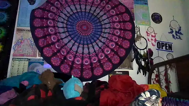 Snapshot of GardeniaFields chatting on April 24, 2026, 9:22 am GardeniaFields online show from April 24, 2026, 9:22 am