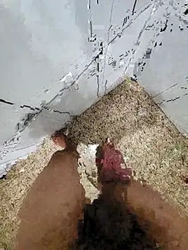 Snapshot of Pauloosil chatting on March 12, 2025, 1:51 pm Pauloosil online show from March 12, 2025, 1:51 pm