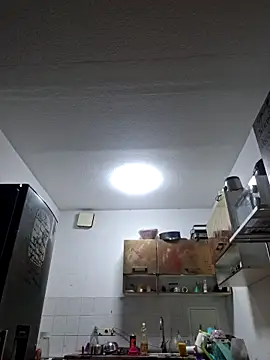 ThePython666 online show from November 8, 2025, 6:44 pm