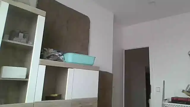 ThePython666 online show from November 24, 2025, 9:20 am