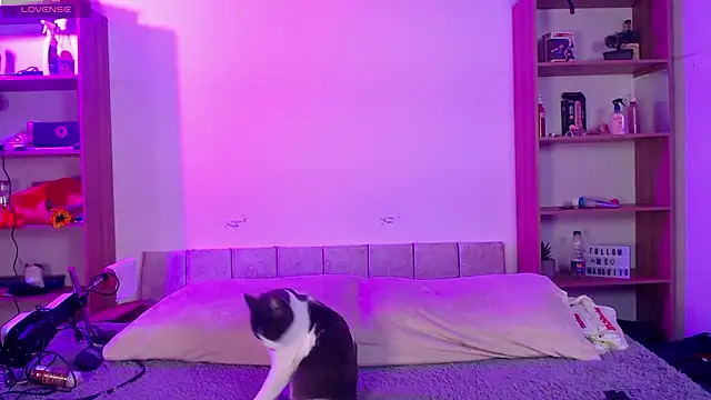 Soy mangx online show from January 11, 2026, 3:02 am