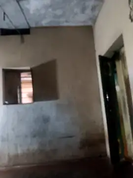 PolarFriend0 online show from February 17, 2026, 12:57 pm