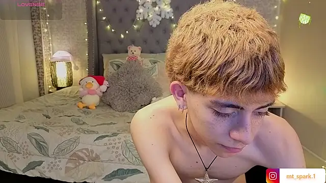 Snapshot of Matty_Sparkk chatting on December 15, 2025, 2:34 pm Matty Sparkk online show from December 15, 2025, 2:34 pm