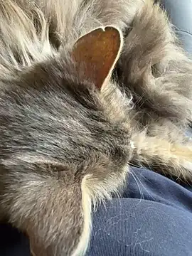 Max 965 online show from March 30, 2026, 10:28 am