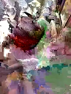 A-1PLAYBOY0 online show from April 9, 2026, 4:47 am