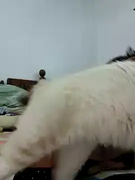 Snapshot of Saraslow chatting on October 28, 2025, 2:05 pm Saraslow online show from October 28, 2025, 2:05 pm