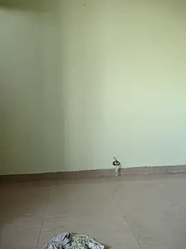 Snapshot of Desi_Bhabi_01 chatting on November 17, 2025, 9:35 am Desi Bhabi 01 online show from November 17, 2025, 9:35 am