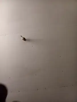 Thenaughtyboy360 online show from October 7, 2025, 1:34 pm