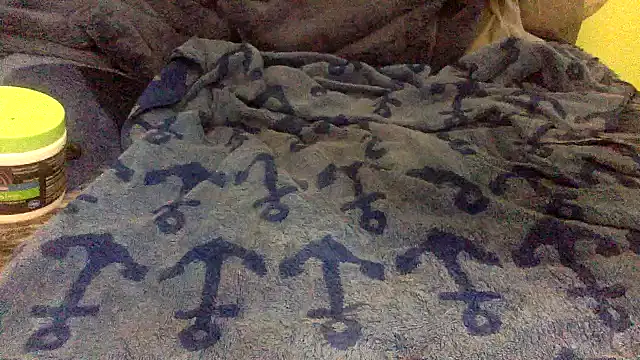 Snapshot of Sc_99 chatting on January 17, 2026, 4:43 pm Sc 99 online show from January 17, 2026, 4:43 pm