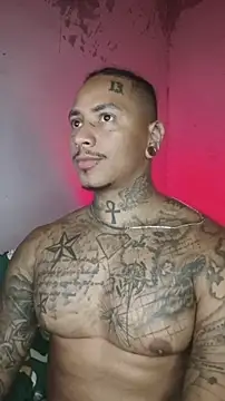 Snapshot of David_tatto1 chatting on February 17, 2026, 2:53 am David tatto1 online show from February 17, 2026, 2:53 am