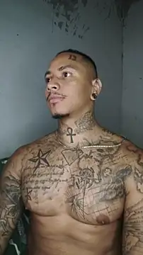 Snapshot of David_tatto1 chatting on March 3, 2026, 3:35 am David tatto1 online show from March 3, 2026, 3:35 am