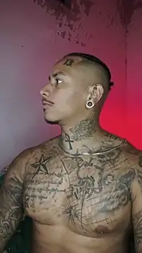 Snapshot of David_tatto1 chatting on February 13, 2026, 3:17 am David tatto1 online show from February 13, 2026, 3:17 am