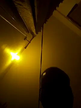 sree4143 online show from November 15, 2025, 9:19 pm