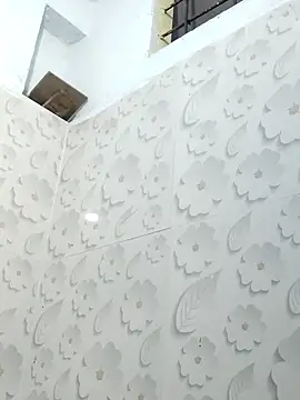 ANAYA1179 online show from October 20, 2025, 1:33 pm