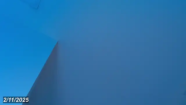 Sebax Young online show from November 4, 2025, 8:56 pm