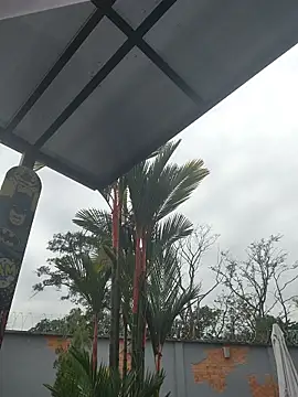 Yessica Lopezz online show from March 5, 2026, 11:29 am