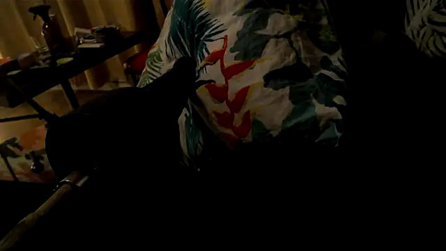 drieghe online show from October 4, 2025, 10:33 pm