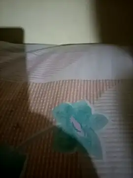 Nishi-2 online show from September 25, 2025, 1:50 pm