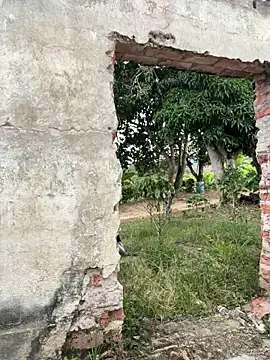 Snapshot of Jacksonfranco chatting on December 17, 2025, 10:04 pm Jacksonfranco online show from December 17, 2025, 10:04 pm