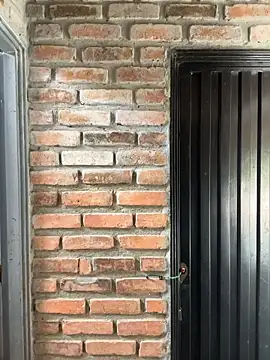 Snapshot of Jacksonfranco chatting on November 4, 2025, 4:33 pm Jacksonfranco online show from November 4, 2025, 4:33 pm