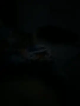 Gaby Rol17 online show from September 15, 2025, 2:23 am