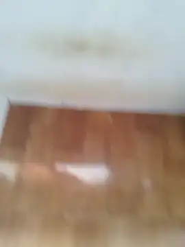 Snapshot of O_Mascarado_NK chatting on March 21, 2026, 12:42 pm O Mascarado NK online show from March 21, 2026, 12:42 pm