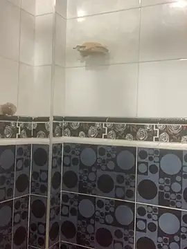 malek xarx  online show from February 24, 2026, 1:50 am