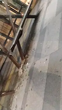 Snapshot of LeoMaduroSP chatting on January 9, 2026, 11:33 pm LeoMaduroSP online show from January 9, 2026, 11:33 pm