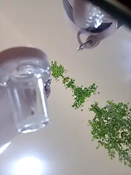 Snapshot of Samantha_hotly chatting on October 31, 2025, 2:02 pm Samantha hotly online show from October 31, 2025, 2:02 pm