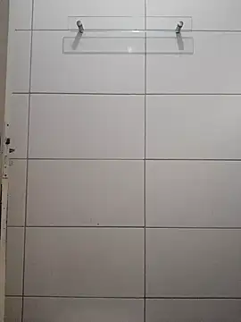 nego-insaciavel online show from November 5, 2025, 11:57 am