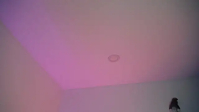 Stepha babe online show from September 8, 2025, 10:53 pm