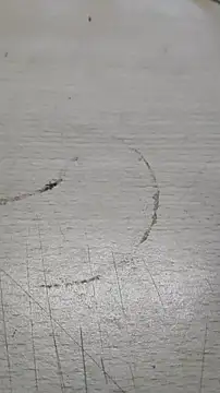 Playboy 089 online show from September 23, 2025, 5:09 pm