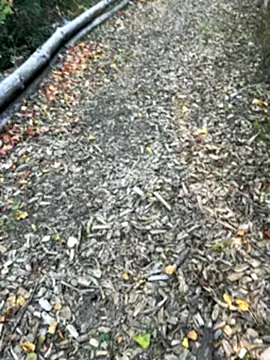 Mlkrrp online show from October 10, 2025, 4:30 pm