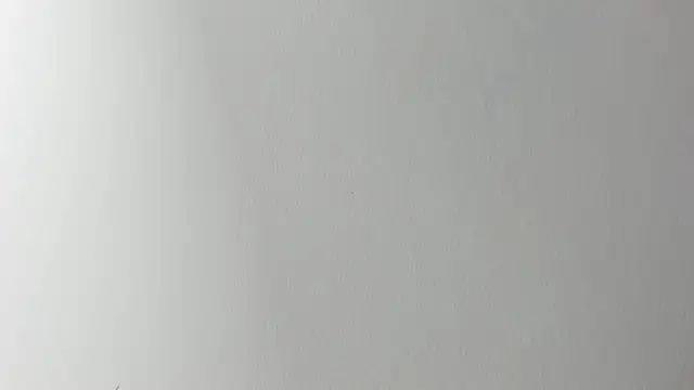 Snapshot of Lady_miss___ chatting on November 6, 2025, 12:20 pm Lady miss online show from November 6, 2025, 12:20 pm