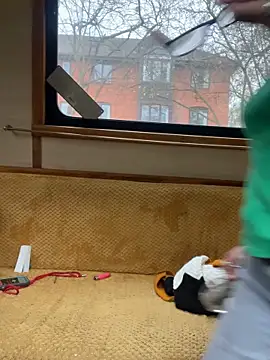 Snapshot of ladyboatlady chatting on November 16, 2025, 9:25 am ladyboatlady online show from November 16, 2025, 9:25 am