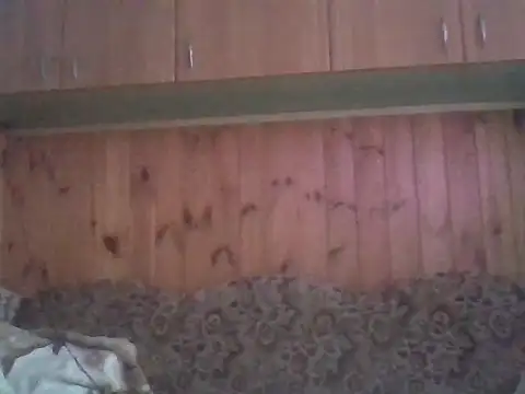 Maksymilian1 online show from February 15, 2026, 2:49 pm