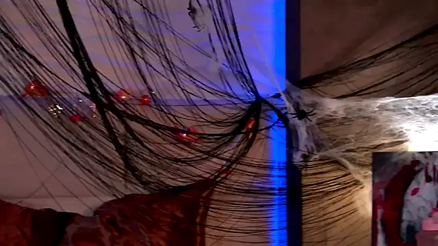 AriWild online show from November 1, 2025, 3:57 am