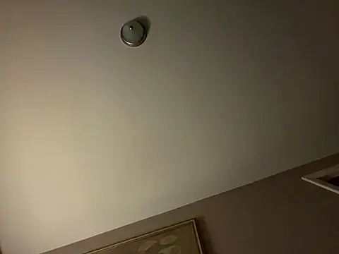 Snapshot of curis4270panda chatting on October 19, 2025, 3:42 am curis4270panda online show from October 19, 2025, 3:42 am