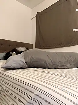 himNIGuys online show from February 10, 2026, 1:48 am