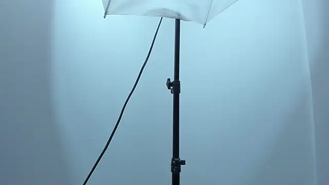 Snapshot of violet_taylor_ chatting on December 17, 2025, 2:16 am violet taylor online show from December 17, 2025, 2:16 am