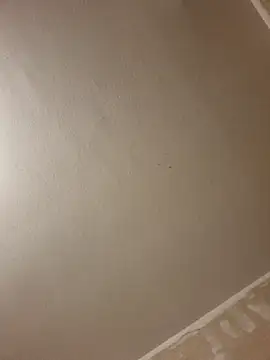 Snapshot of gazb90 chatting on January 14, 2026, 8:12 pm gazb90 online show from January 14, 2026, 8:12 pm